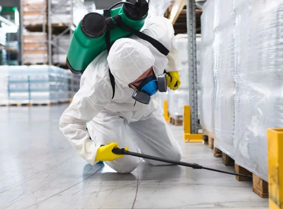 Dedetizadora em Osasco – TS Serviços