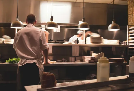 Dedetização de restaurantes em Osasco